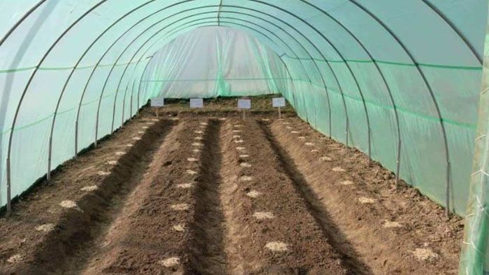 Green Shade Nets in Hyderabad